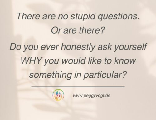 There are no stupid questions. Or are there?